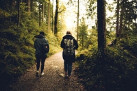 Grey-Bruce-2-walking-in-woods-image