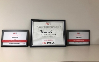 Local team plaques for MS-Walk