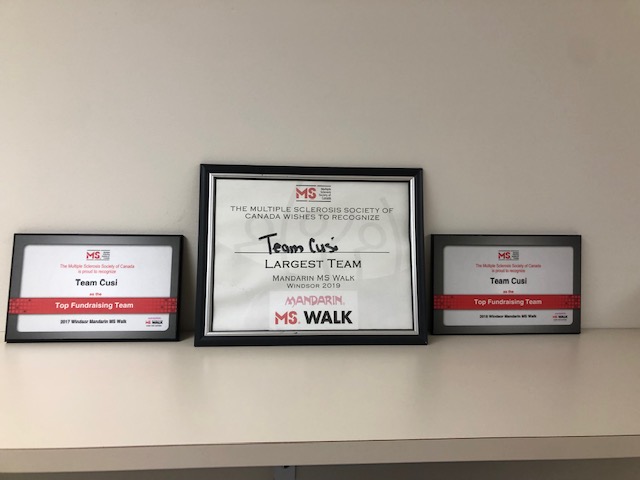 Local team plaques for MS-Walk